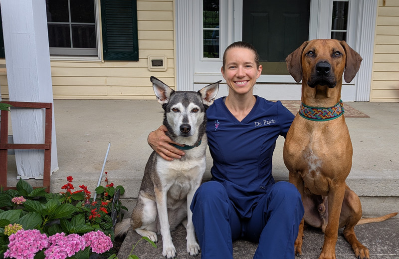 Amy Pajcic, DVM